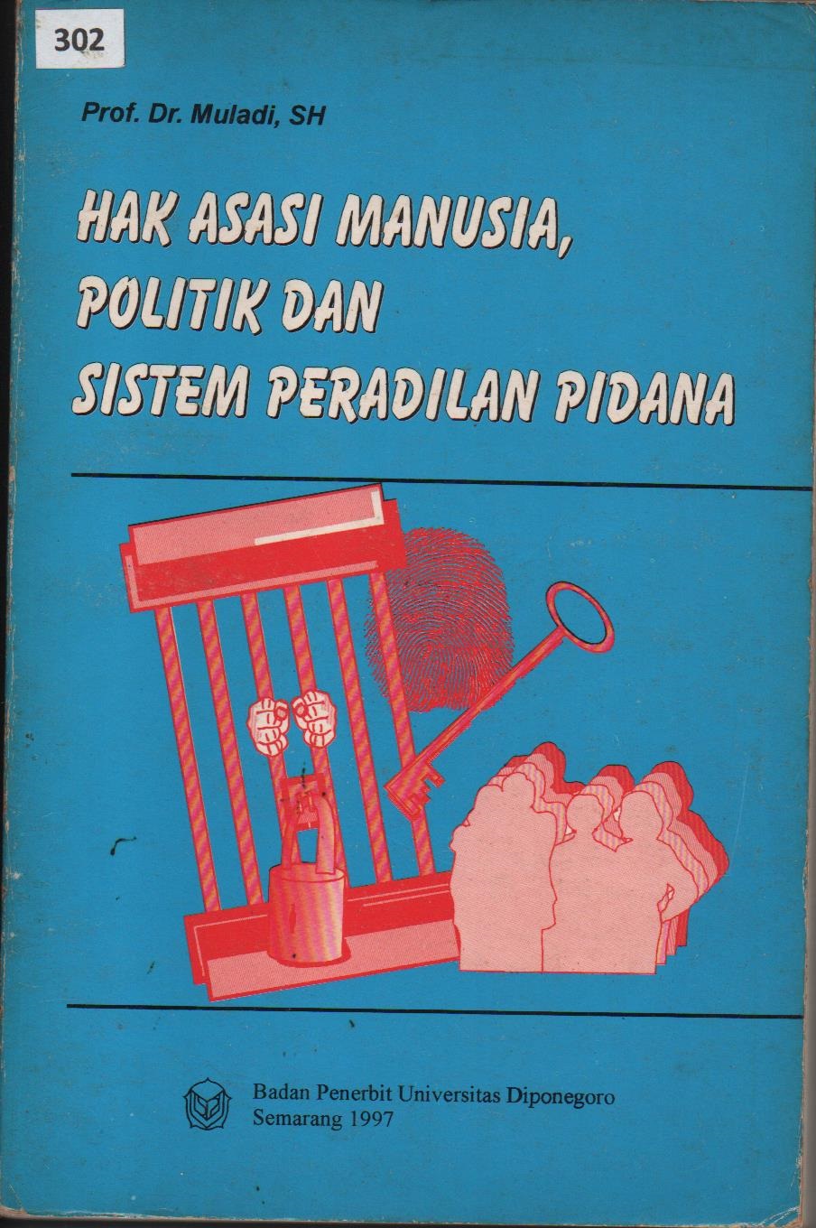 Hak Asasi Manusia, Politik Dan Sistem Peradilan Pidana